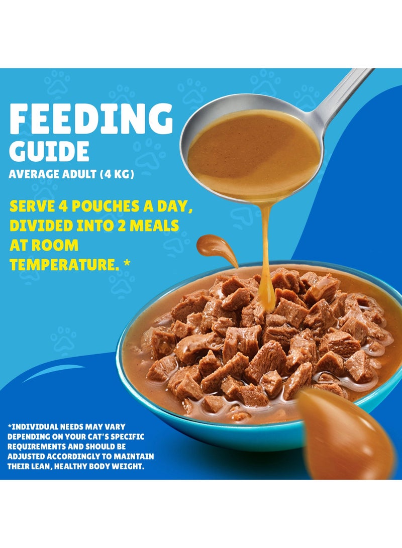 Friskies Salmon In Gravy Wet Cat Food 85G by PURINA