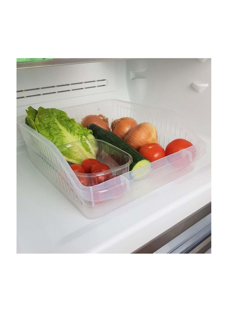 Hobby Life Orgamix Flat Clear Organizer