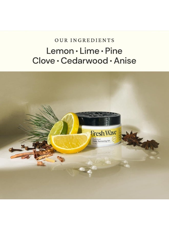 Fresh Wave Lemon Odor Eliminating Gel 198G