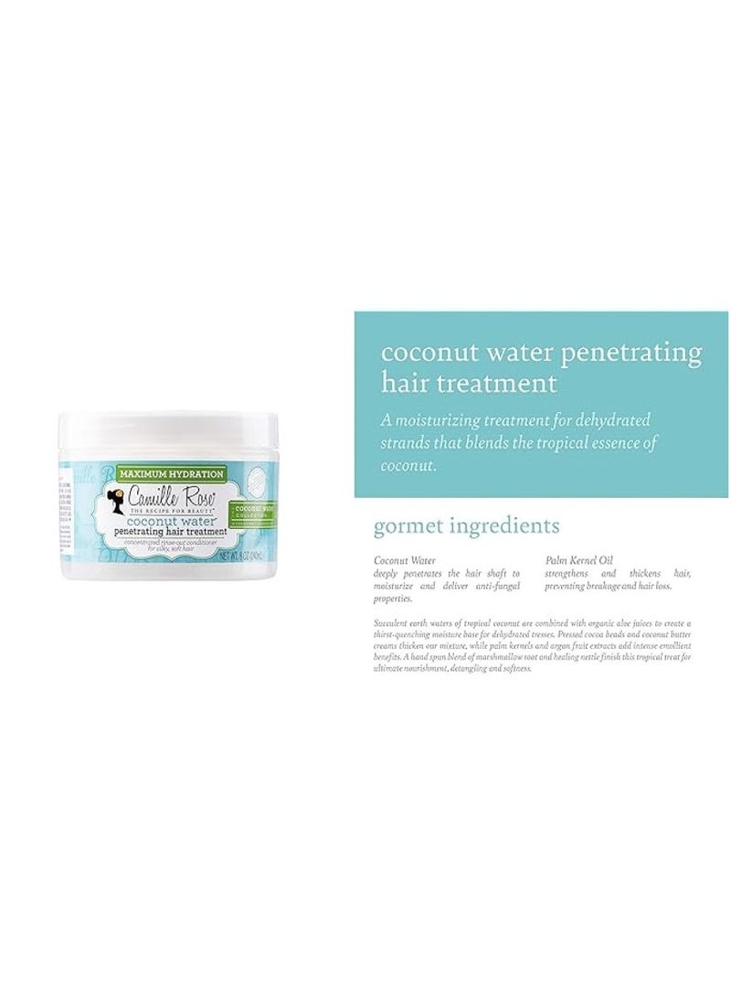 Camille Rose Coconut Water Hair Treatment 240 ML