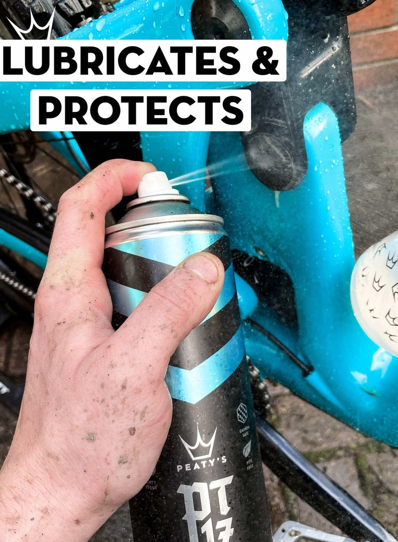 PEATY'S Pt17 General Maintenance Spray