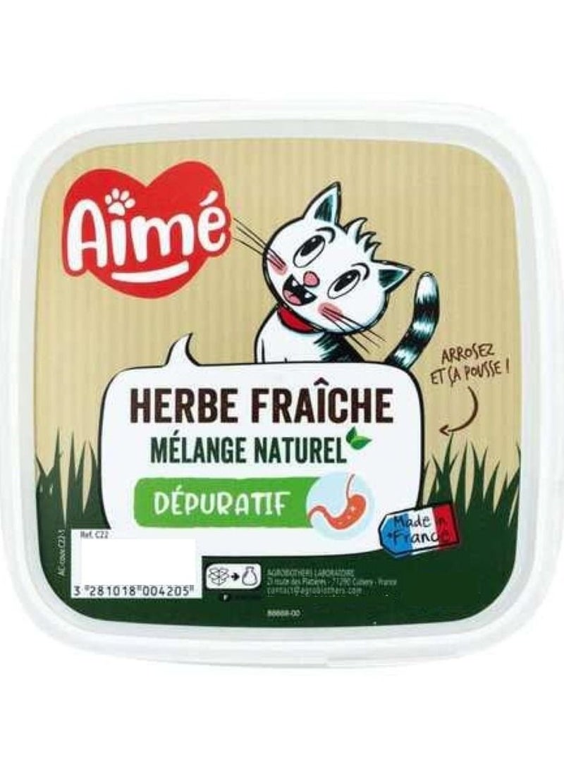 Aime Fresh Purifying Herbs for Cats