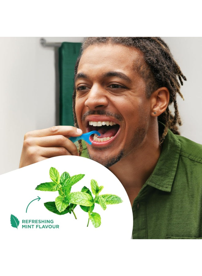 avoid gum, care type, daily oral, floss type, fresh mint, grip floss, gum line, home work, mint waxed, oral care, sunstar, take one, teeth move, travel eco, type waxed