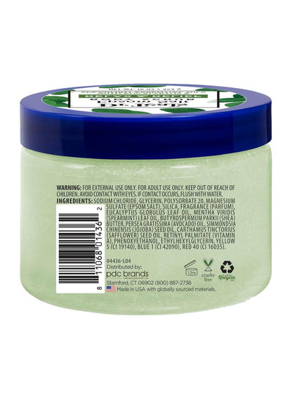 Eucalyptus & Spearmint Body Scrub - Dr Teal's