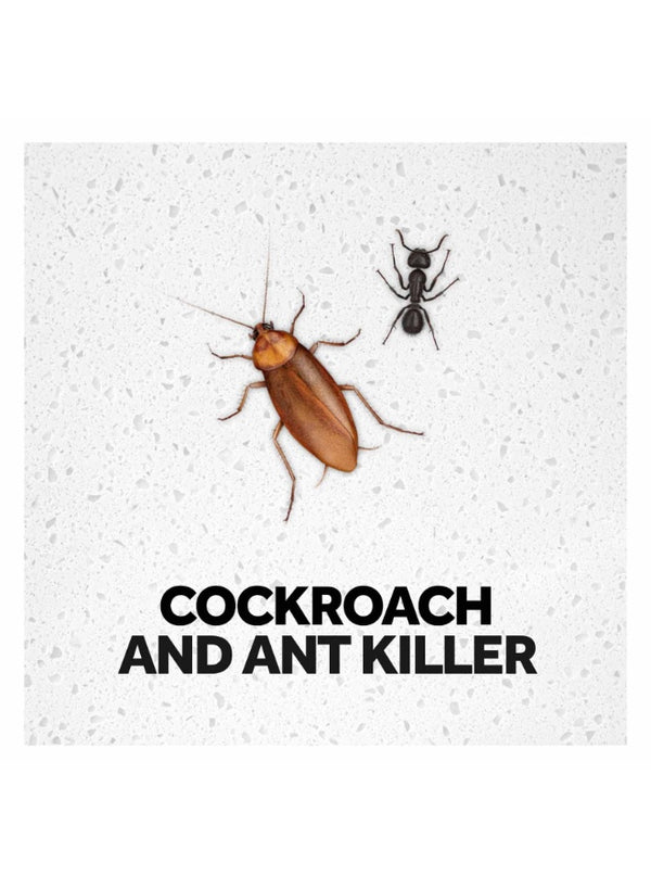 always read, ants killer, baygon, cool dry, dry place, ensure even, eye contact, fast action, hiding spots, life avoid, pets avoid, place away, powder cockroaches, spots ensure, storage keep