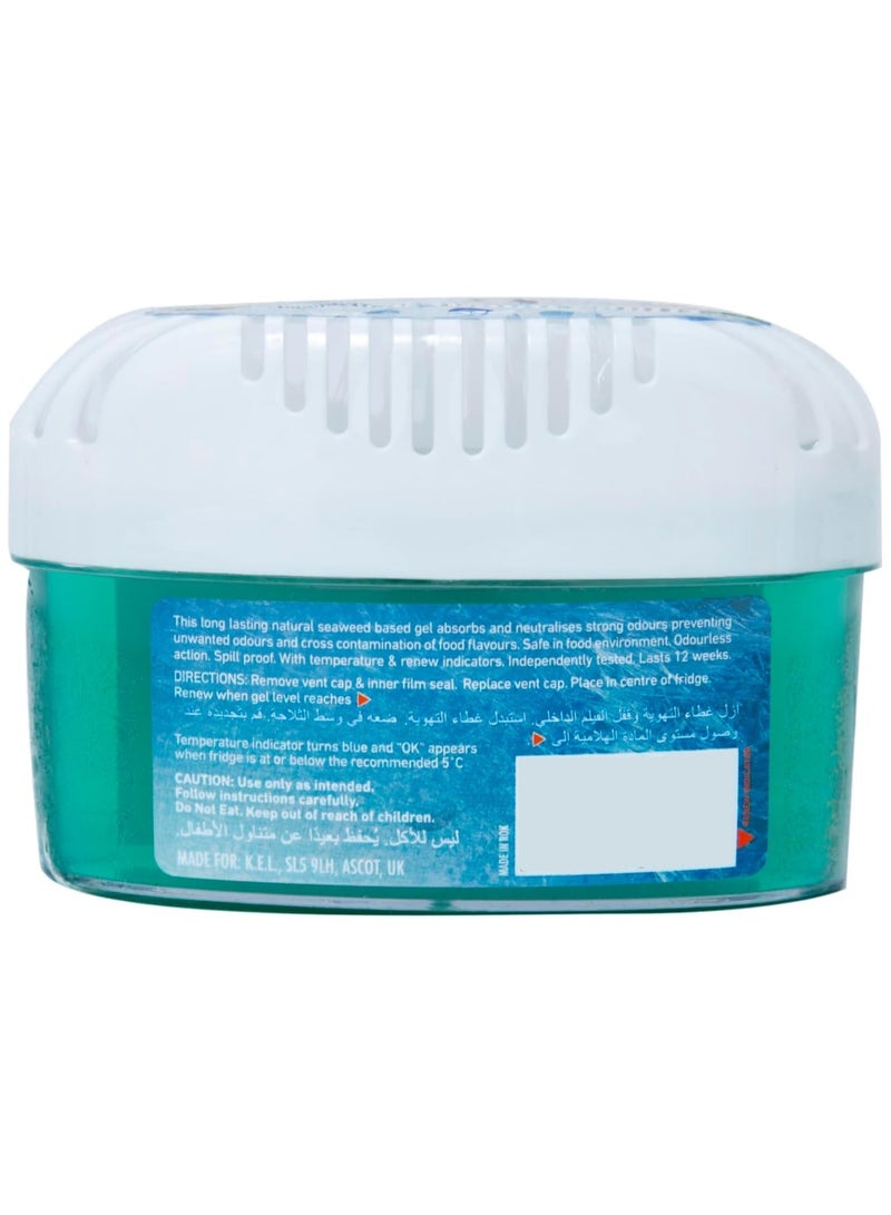 Big D Fridge Odour Absorber 200 G - Premium Solution