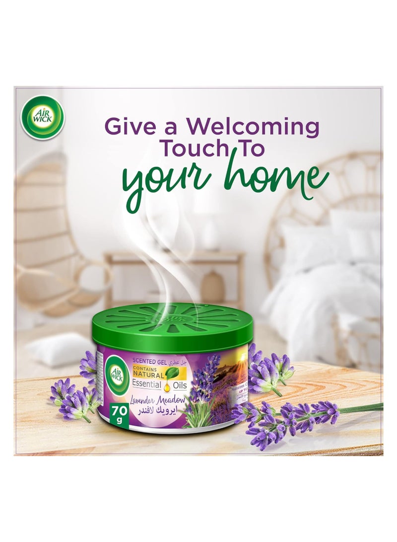 Air Wick Scented Gel Lavender Meadow 70 G