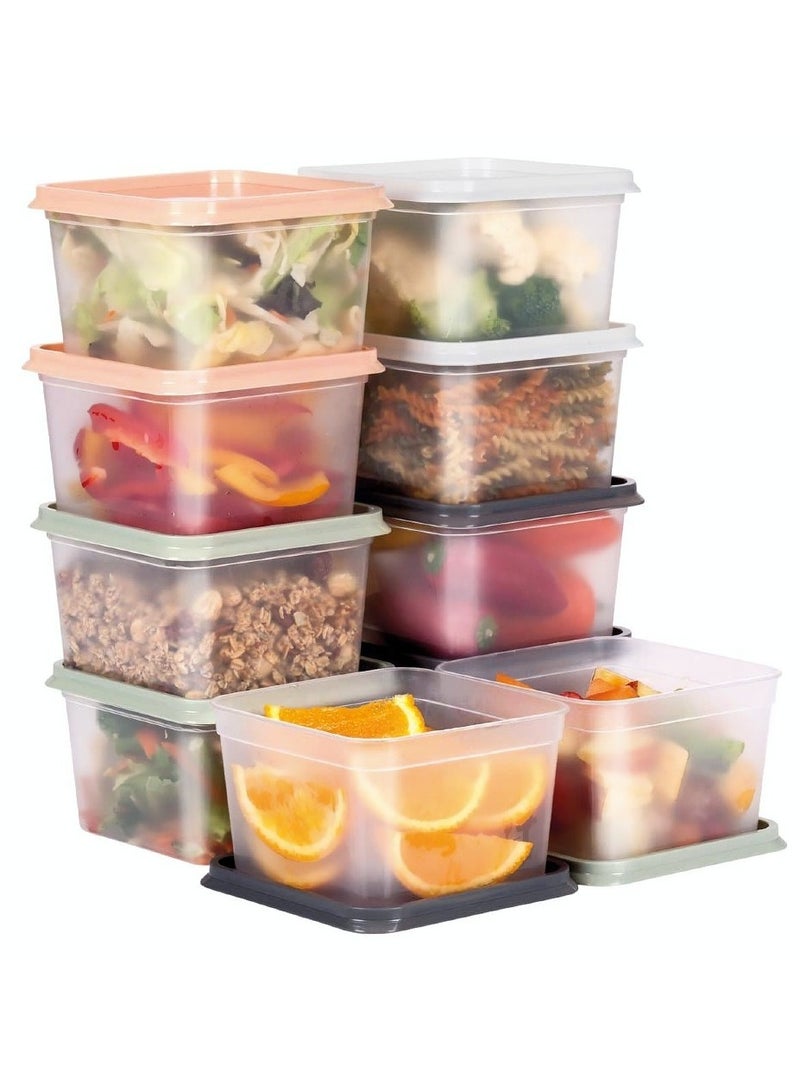 Alpina Food Container Set of 10 Boxes 750 ML