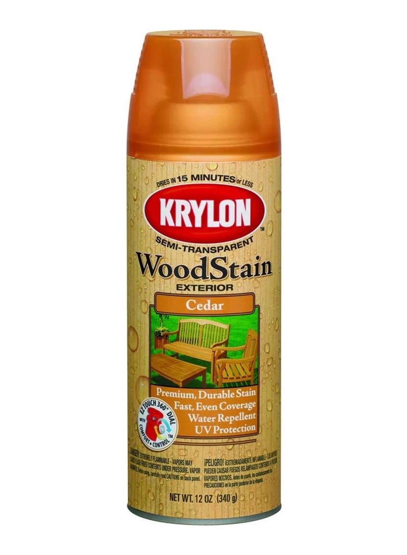 KRYLON Exterior Semi Transparent Wood Stain Spray