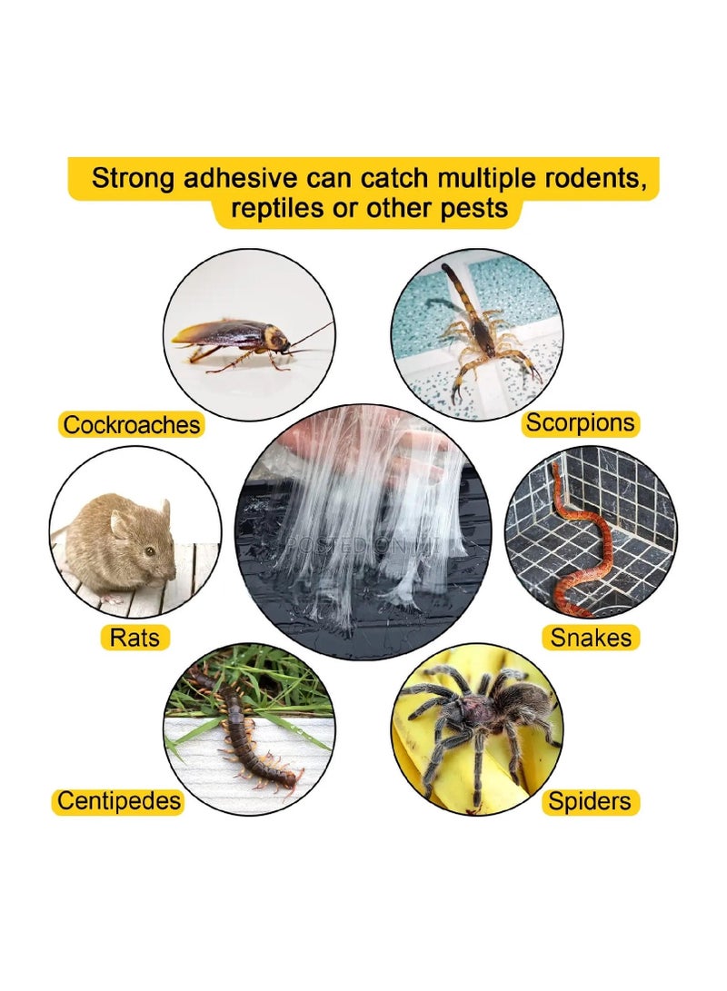 Large Glue Traps for Pests 2pcs Pack - EXPERT Catch