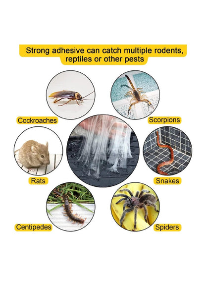 Large Glue Traps for Pests 2pcs Pack - EXPERT Catch