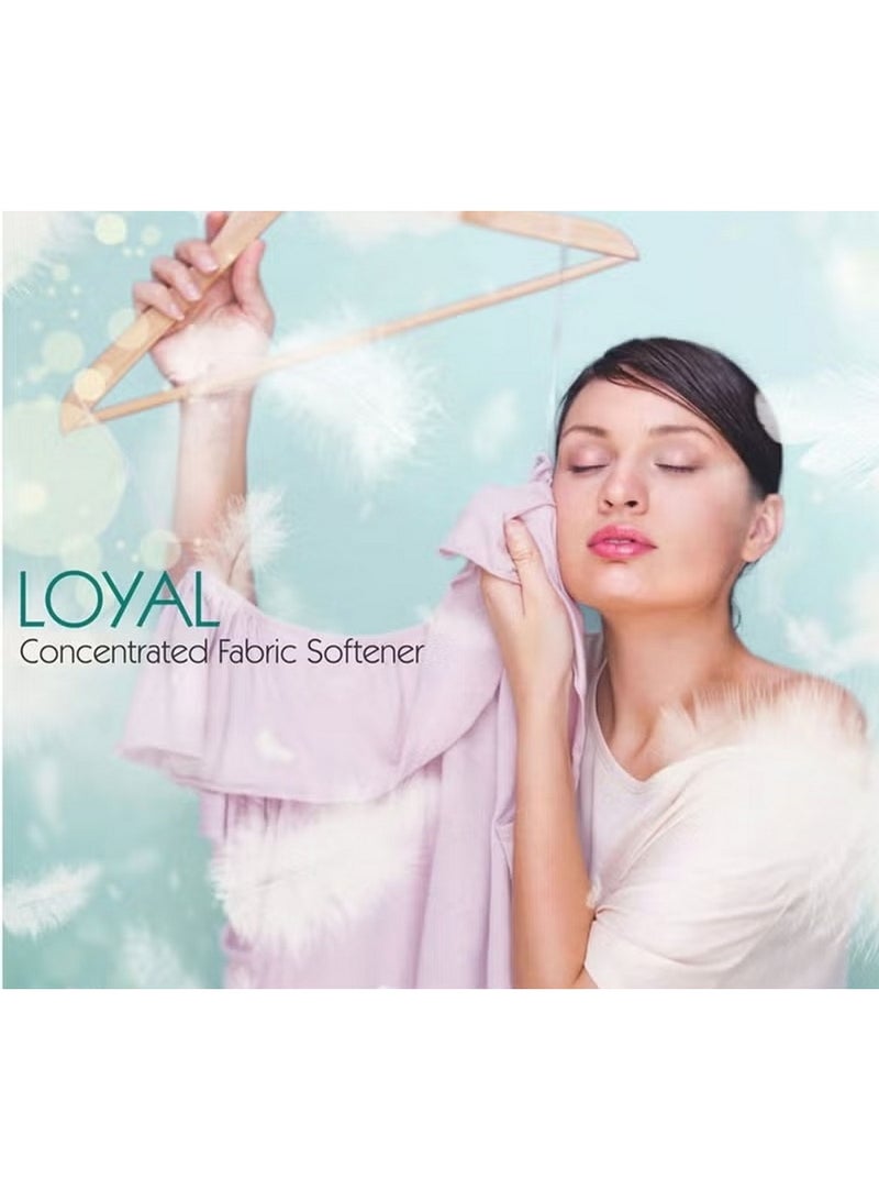 Loyal Fabric Softener Blue Petals 1.5 L