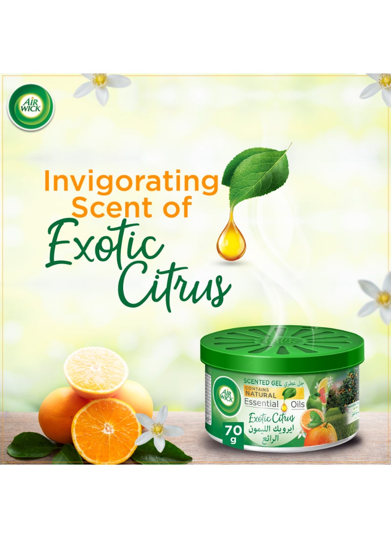 Air Wick Citrus Scented Gel Freshener 70g