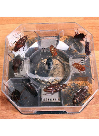 Vincere Cockroach Trap Box
