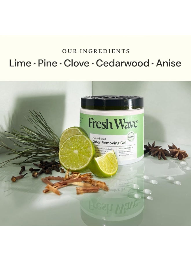 Fresh Wave Odor Eliminating Gel 425g