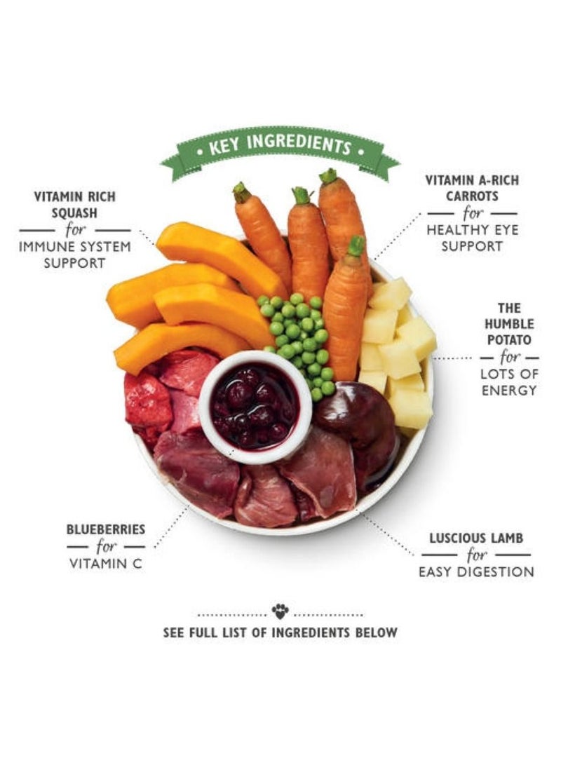 Lily's Kitchen Lamb Hotpot Wet Dog Food 150G
