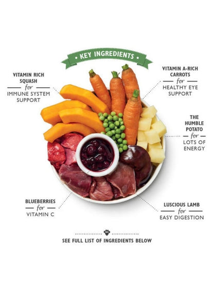 Lily's Kitchen Lamb Hotpot Wet Dog Food 150G