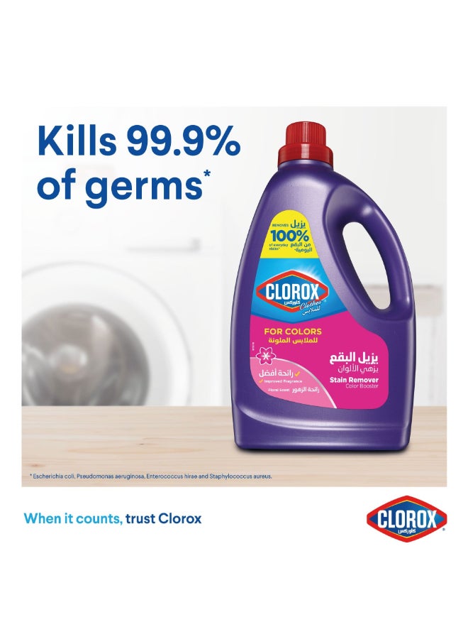 Clorox Liquid Stain Remover and Color Booster
