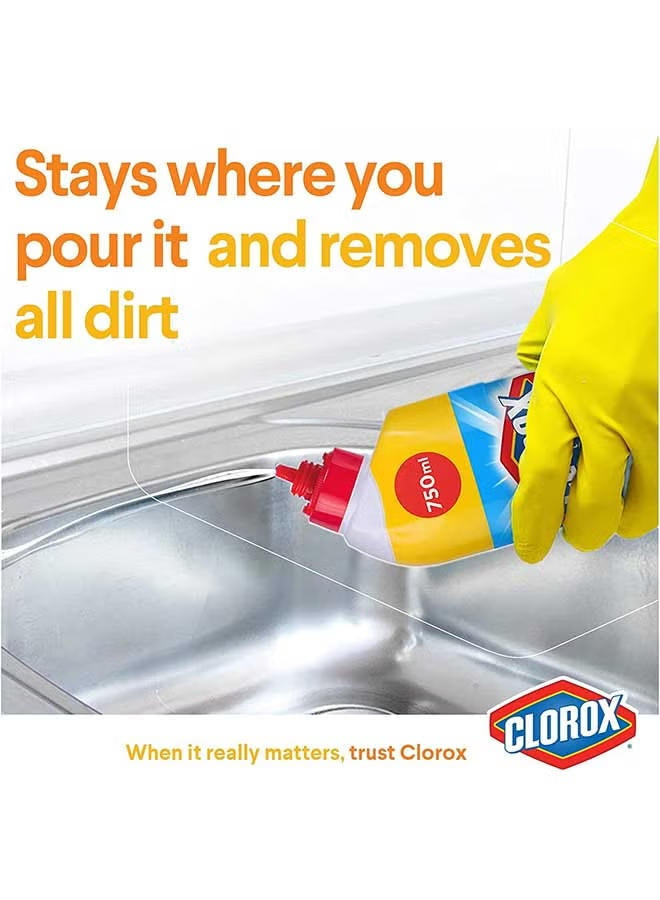 air dry, bleach gel, bleach gel cleaner, cleaner kills, clorox, floral magic, floral magic bleach, gel cleaner, gel cleaner kills, germs 750ml, hard non, magic bleach, magic bleach gel, one cup, stain removal