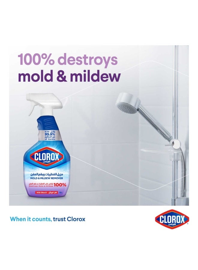 Clorox Mold & Mildew Remover 750 ML
