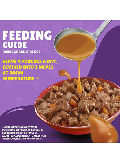 PURINA Friskies Beef In Gravy Cat Food Pouch 85 G