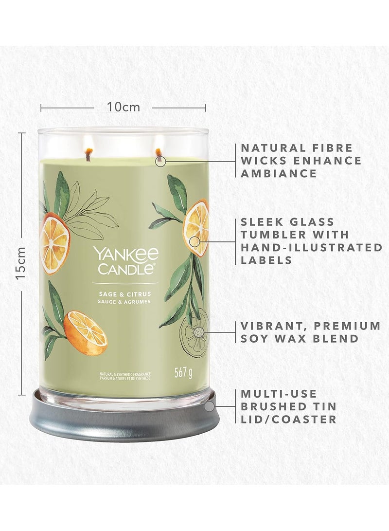 YANKEE CANDLE Sage & Citrus Scented Candle