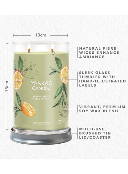 YANKEE CANDLE Sage & Citrus Scented Candle