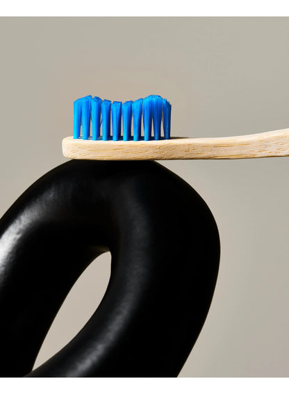adult medium, adult medium humble, bamboo toothbrush, bamboo toothbrush plant, based filaments, based filaments blue, filaments blue, humble bamboo, medium humble, medium humble bamboo, plant based, plant based filaments, the humble co, toothbrush plant,