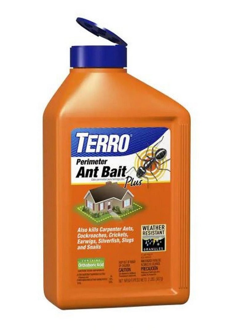 Outdoor Ant Bait Plus by Terro - Ant Control Solution