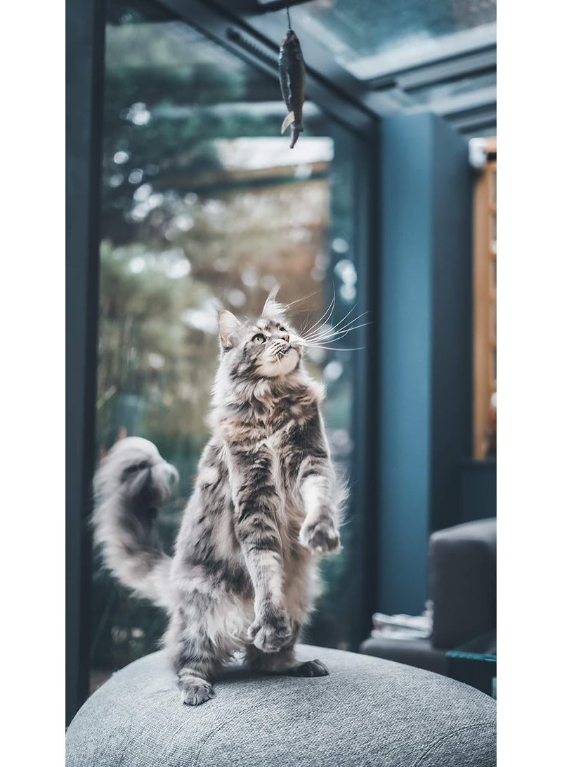 Aime Cat Toy Fishing Rod 40 cm