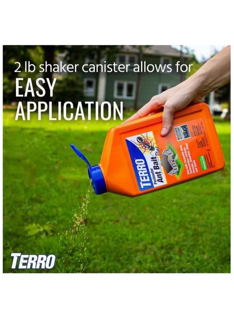 Outdoor Ant Bait Plus by Terro - Ant Control Solution