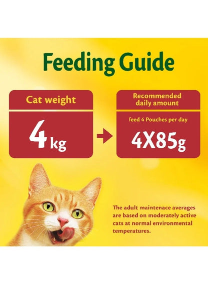 Friskies Duck Chunks in Gravy Cat Food 85G - PURINA