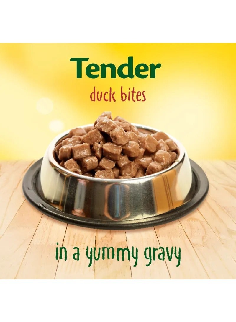 Friskies Duck Chunks in Gravy Cat Food 85G - PURINA