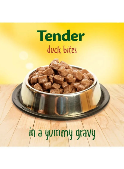 Friskies Duck Chunks in Gravy Cat Food 85G - PURINA