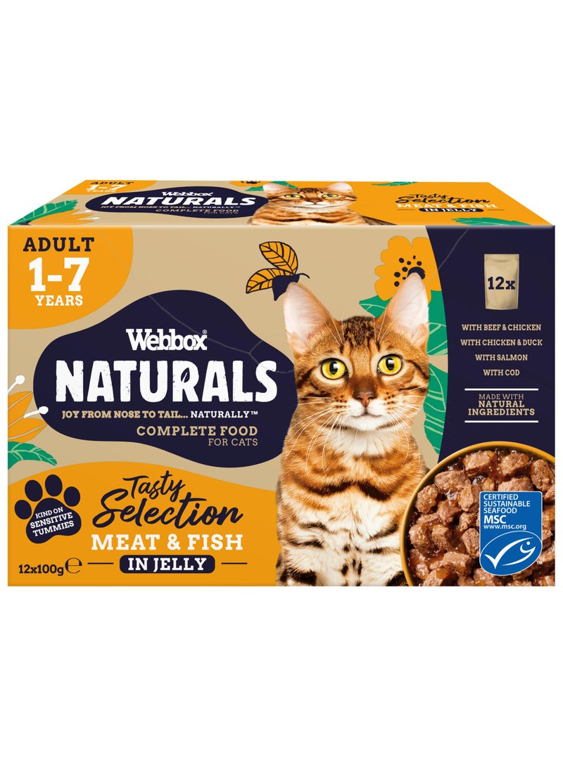 Webbox Tasty Meat & Fish Cat Food 12x100g