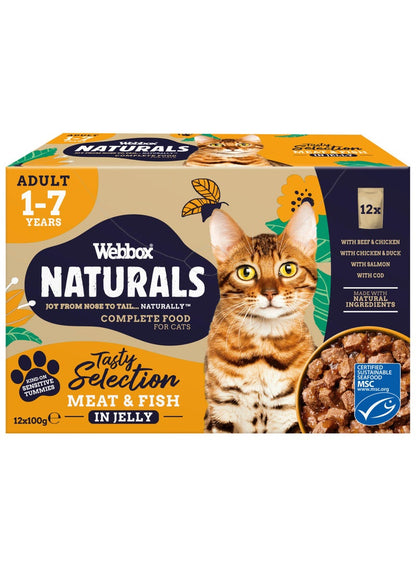 Webbox Tasty Meat & Fish Cat Food 12x100g
