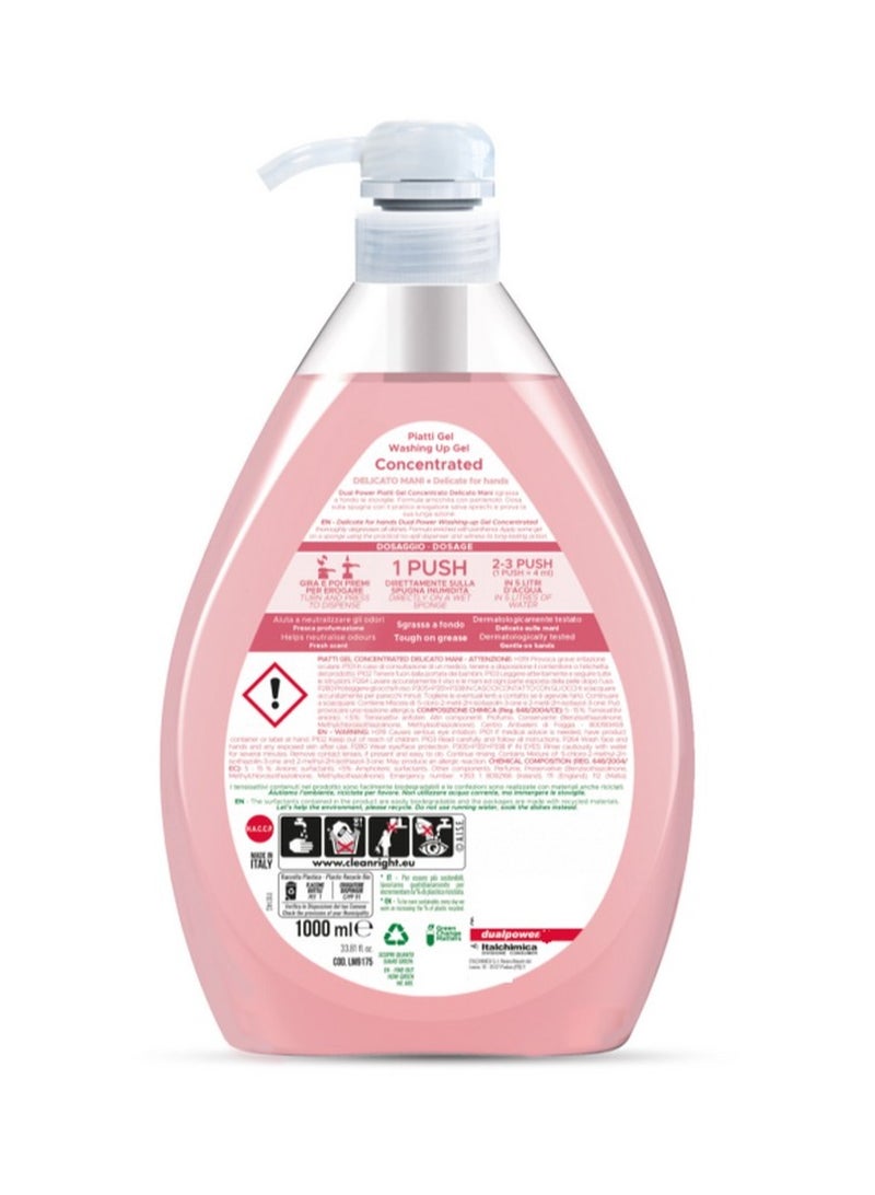 Dual Power Dishes Gel Concentrate 1 L - Dual Power