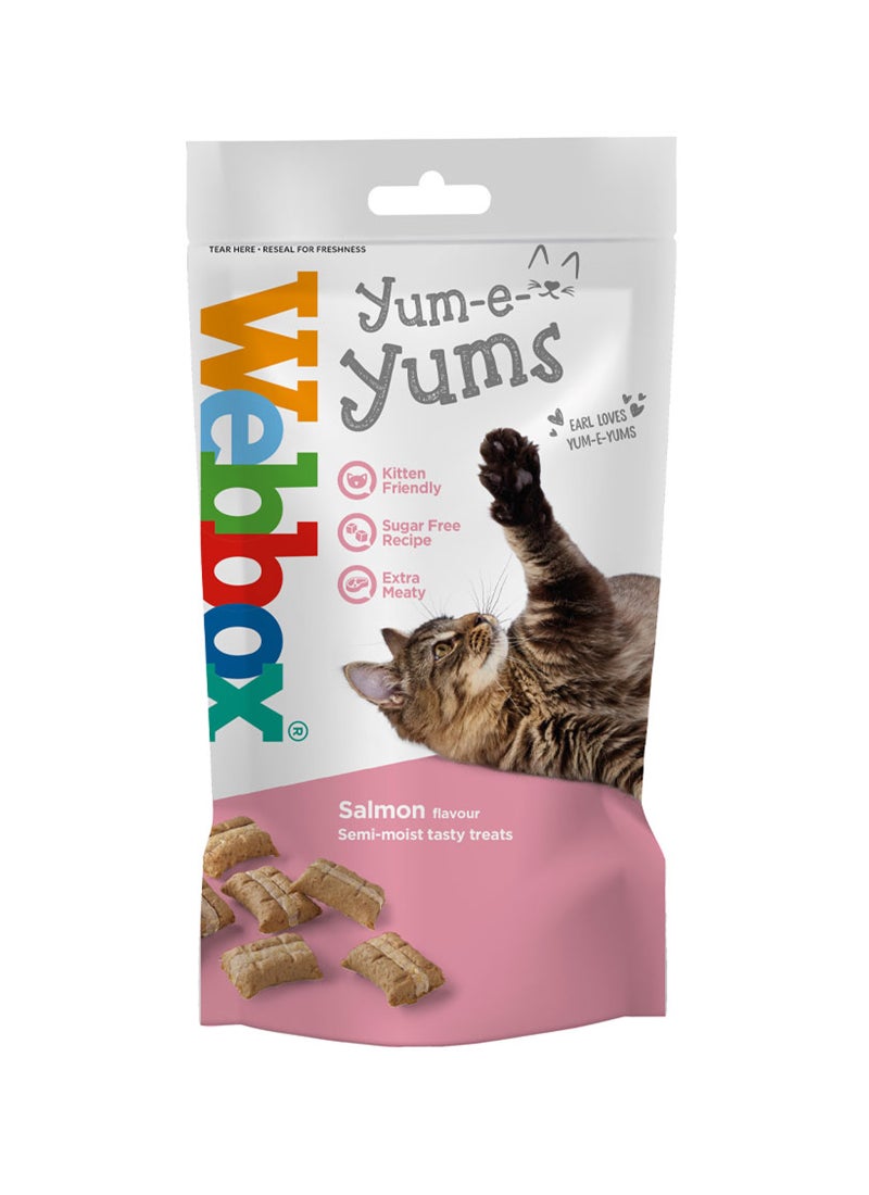 Webbox Yum-E-Yums Salmon Cat Treats 40g
