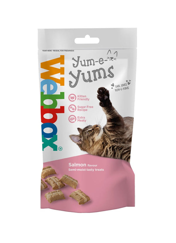 Webbox Yum-E-Yums Salmon Cat Treats 40g