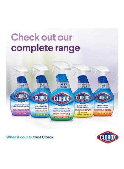 Clorox Mold & Mildew Remover 750 ML