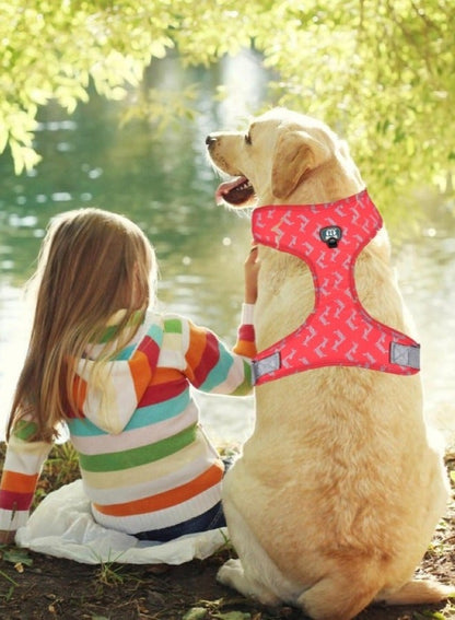 Premium Printed Dog Harness Large - Generic