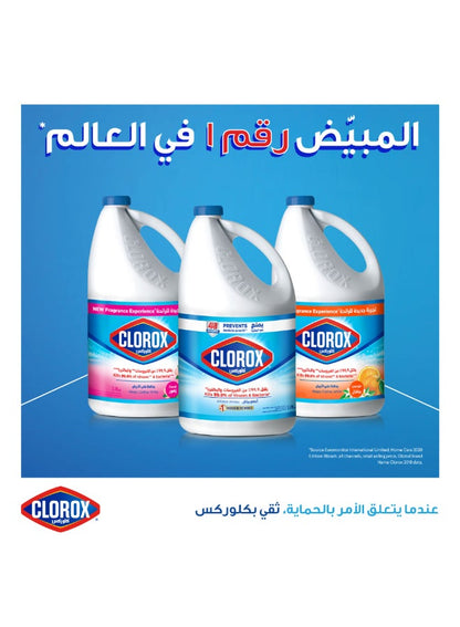 Clorox Liquid Bleach 950ml - Clorox