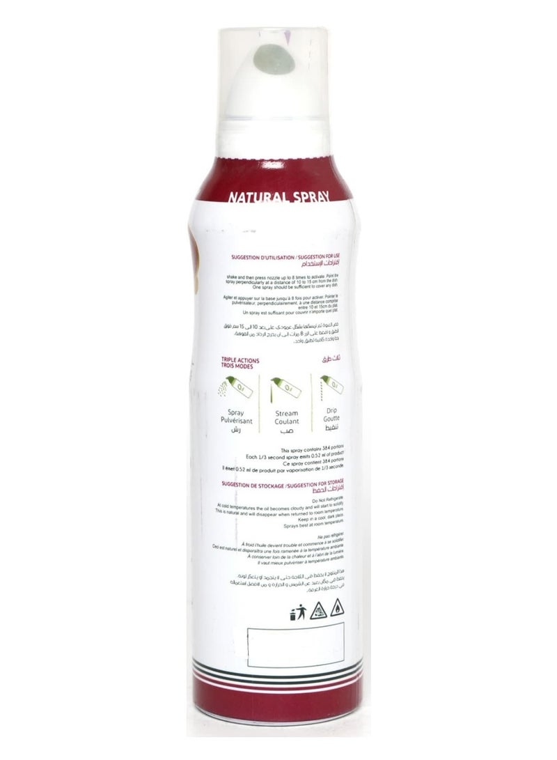 Garlic-Infused Olive Oil Spray 200 ML - Al Jazira