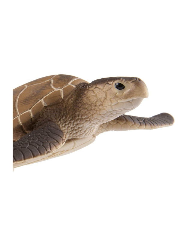 Safari Ltd Green Sea Turtle 4 Inch Figurine