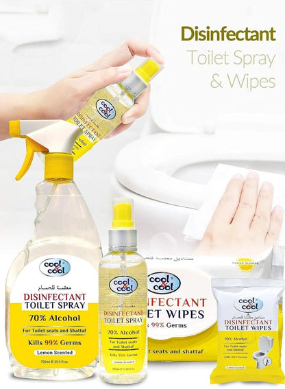 Cool & Cool Disinfectant Toilet Wipes 48 Sheets