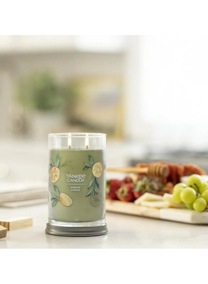 YANKEE CANDLE Sage And Citrus Tumbler Candle