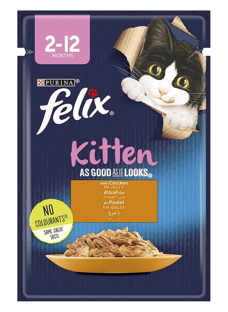 Premium Cat Food with Chicken in Jelly - PURINA