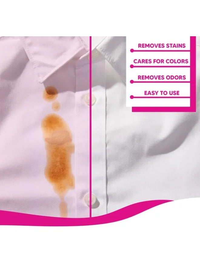 Regent Power Fabric Stain Remover 500 ML