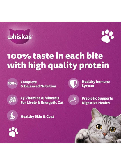 Whiskas Ocean Fish Dry Cat Food 480g