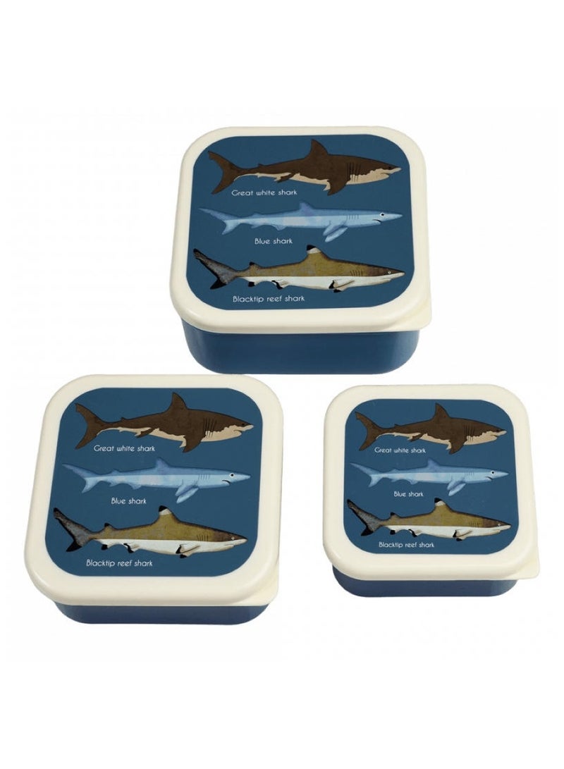 Rex London Wild Wonders Lunch Box With Tray